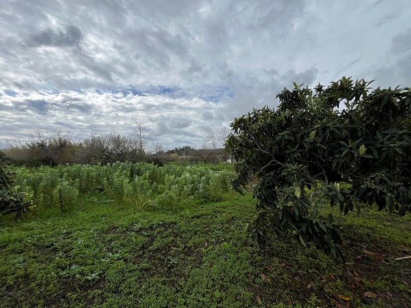 terreno agricolo in vendita a Tortolì