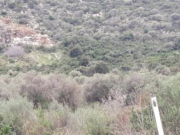 terreno agricolo in vendita a Tortolì