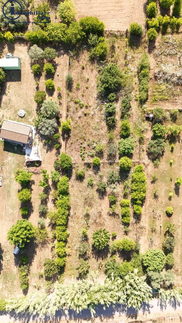 terreno agricolo in vendita a Tortolì in zona Centro Storico