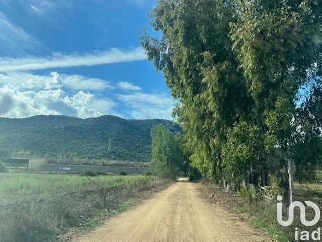 terreno agricolo in vendita a Tortolì