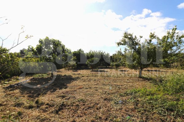 terreno agricolo in vendita a Tortolì