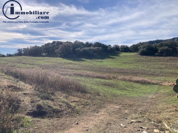 terreno agricolo in vendita a Tortolì