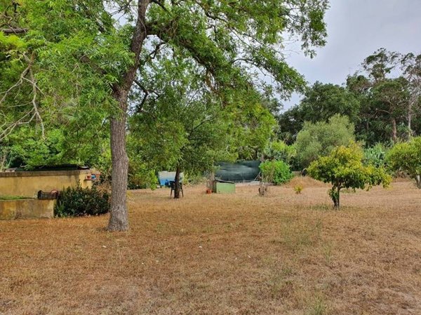 terreno edificabile in vendita a Tortolì in zona Arbatax