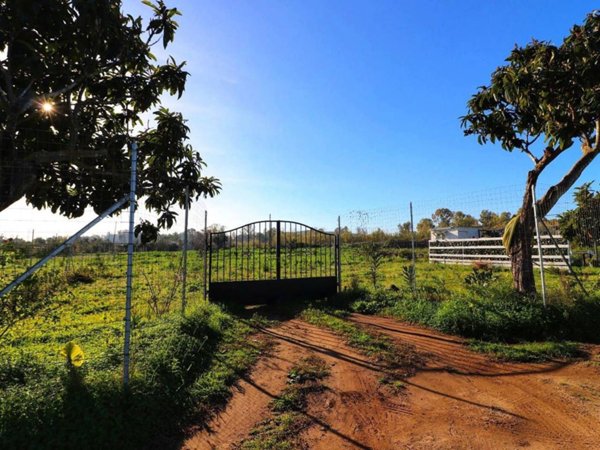 terreno agricolo in vendita a Tortolì in zona Centro Storico