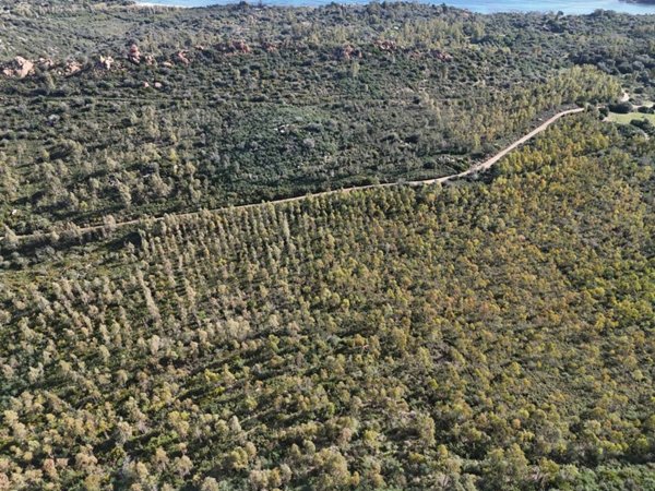 terreno agricolo in vendita a Tortolì
