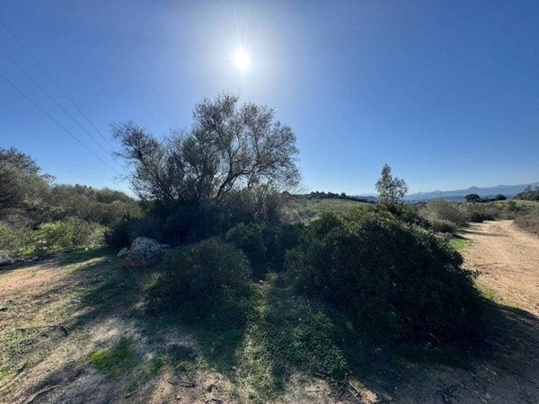 terreno agricolo in vendita a Tortolì in zona Orrì