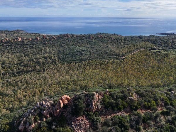 terreno agricolo in vendita a Tortolì