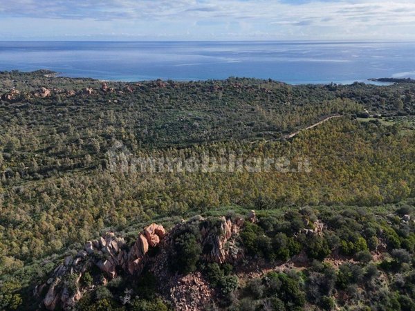 terreno agricolo in vendita a Tortolì in zona Orrì