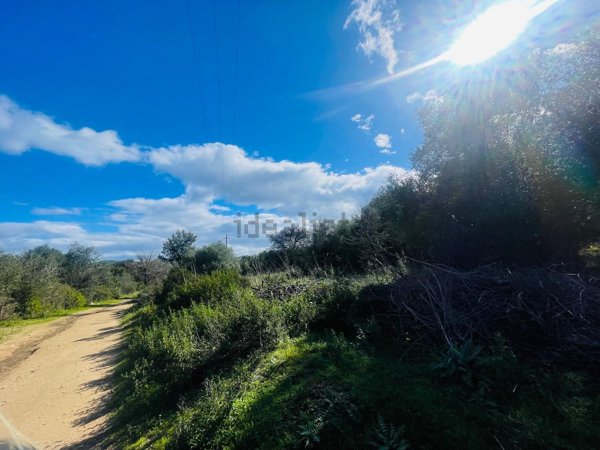 terreno agricolo in vendita a Tortolì