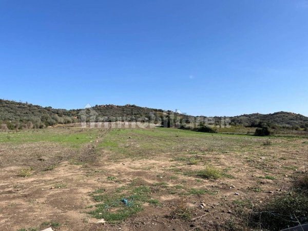 terreno agricolo in vendita a Tortolì in zona Monte Attu