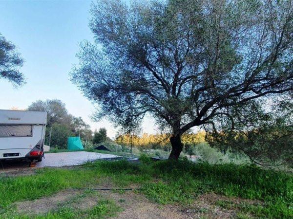 terreno agricolo in vendita a Tortolì