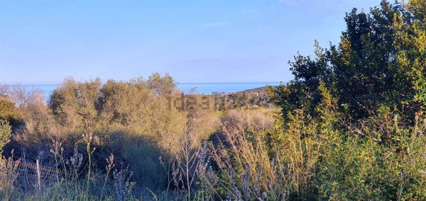 terreno agricolo in vendita a Tortolì