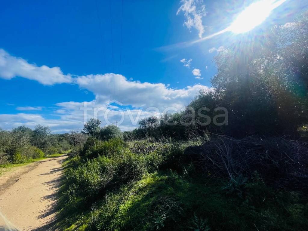 terreno agricolo in vendita a Tortolì