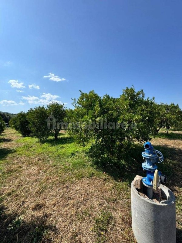 terreno agricolo in vendita a Tortolì in zona Centro Storico