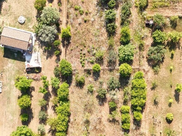 terreno agricolo in vendita a Tortolì