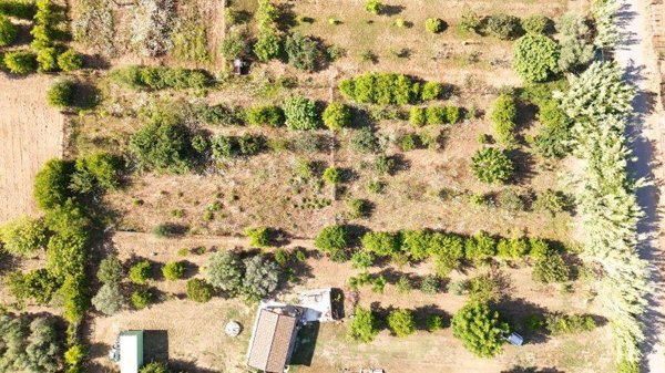 terreno agricolo in vendita a Tortolì