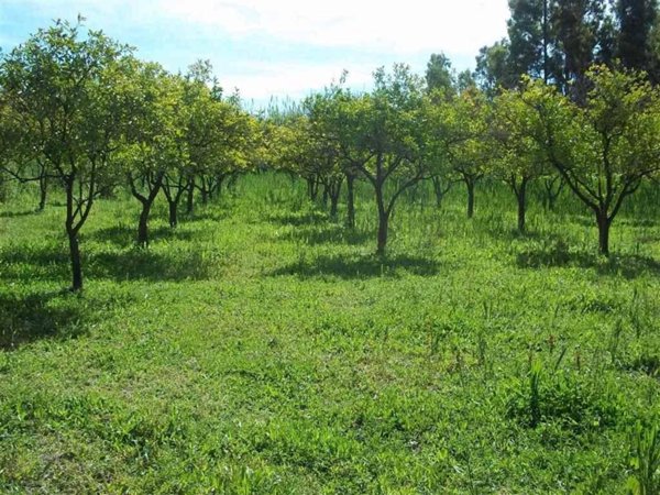 terreno in vendita a Tortolì