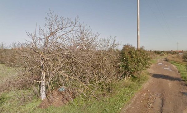 terreno agricolo in vendita ad Assemini