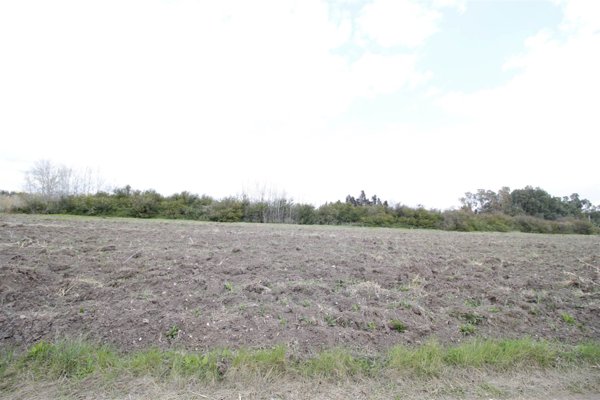 terreno agricolo in vendita ad Assemini