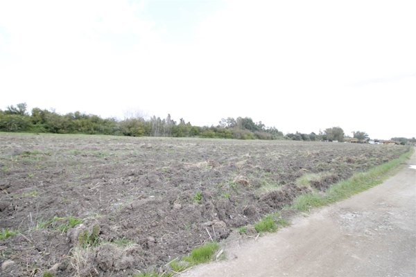 terreno agricolo in vendita ad Assemini