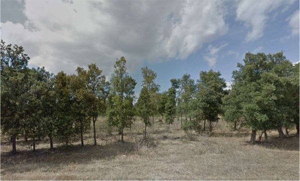 terreno agricolo in vendita ad Assemini
