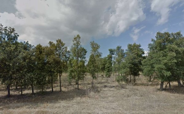 terreno agricolo in vendita ad Assemini