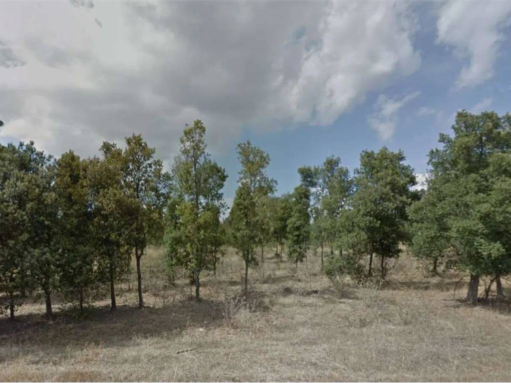 terreno agricolo in vendita ad Assemini