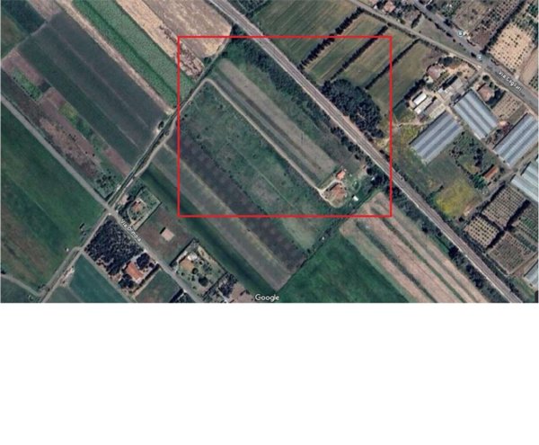 terreno agricolo in vendita ad Assemini