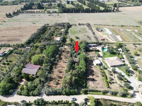 terreno agricolo in vendita ad Assemini
