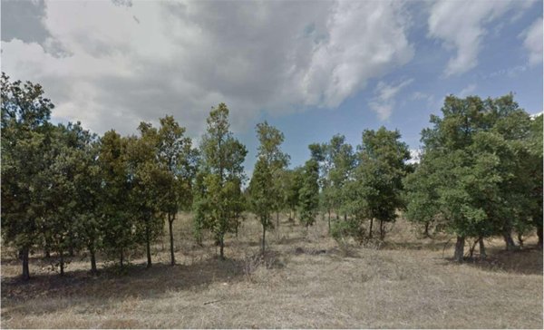 terreno agricolo in vendita ad Assemini