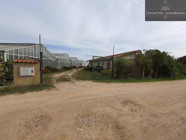 terreno agricolo in vendita ad Assemini