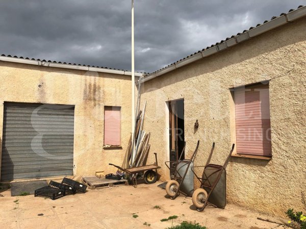 terreno agricolo in vendita ad Assemini