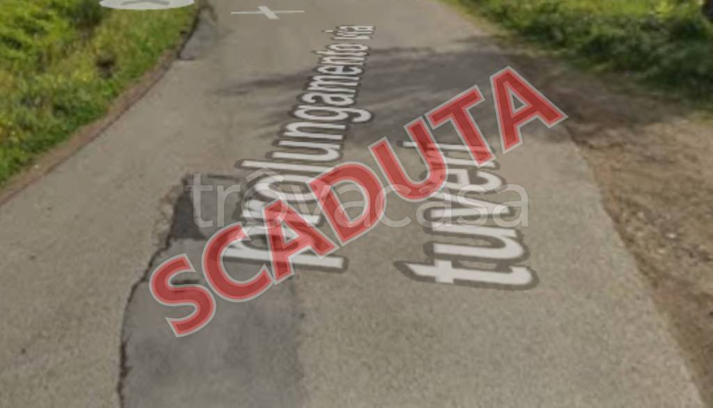 azienda agricola in vendita ad Assemini in zona Terrasili