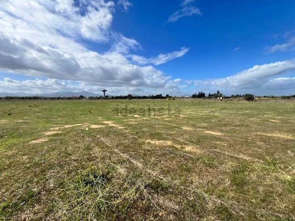 terreno agricolo in vendita ad Assemini
