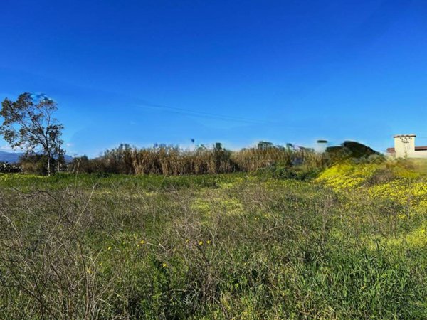terreno agricolo in vendita ad Assemini
