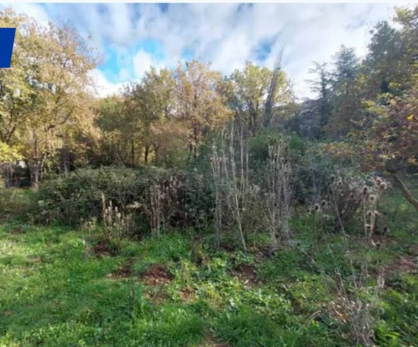 terreno agricolo in vendita ad Assemini in zona Macchiareddu