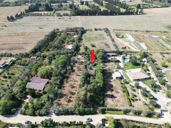 terreno agricolo in vendita ad Assemini