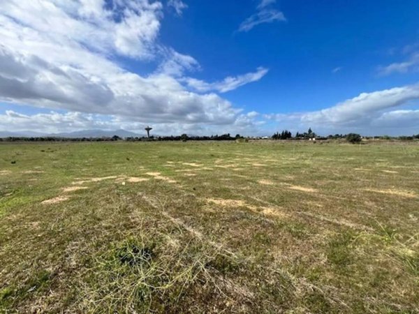 terreno agricolo in vendita ad Assemini