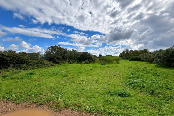 terreno agricolo in vendita ad Assemini in zona Sa Traia