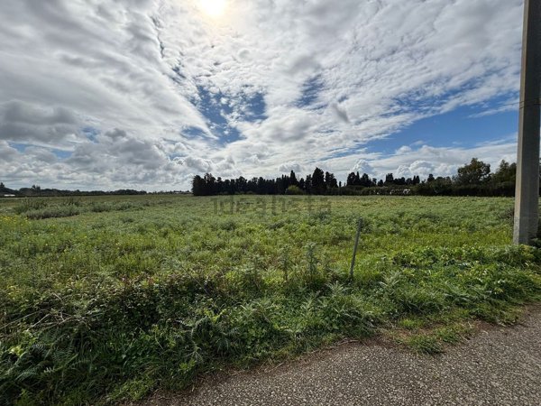 terreno agricolo in vendita ad Assemini