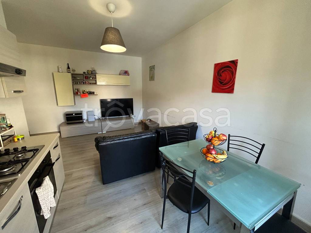 immagine annuncio 0 di 15