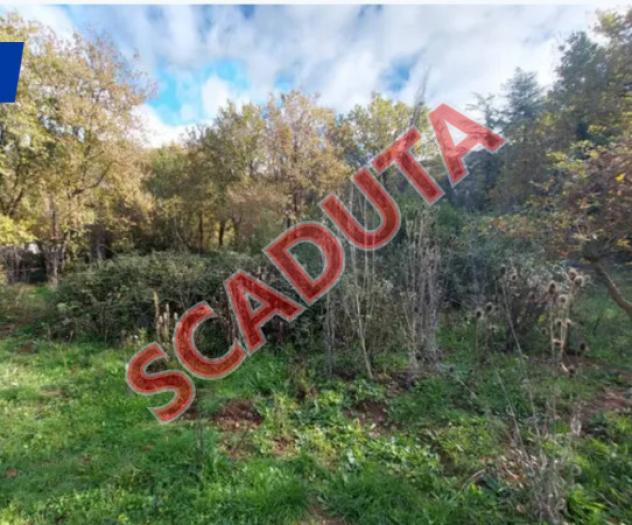 terreno edificabile in vendita ad Assemini in zona Macchiareddu