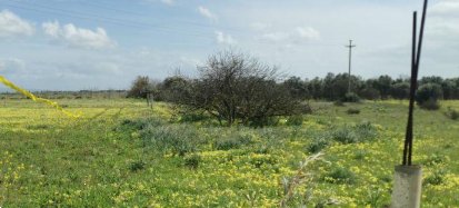 terreno agricolo in vendita ad Assemini
