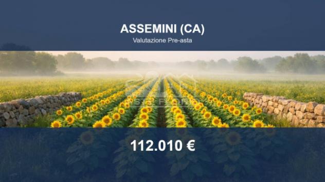 terreno agricolo in vendita ad Assemini
