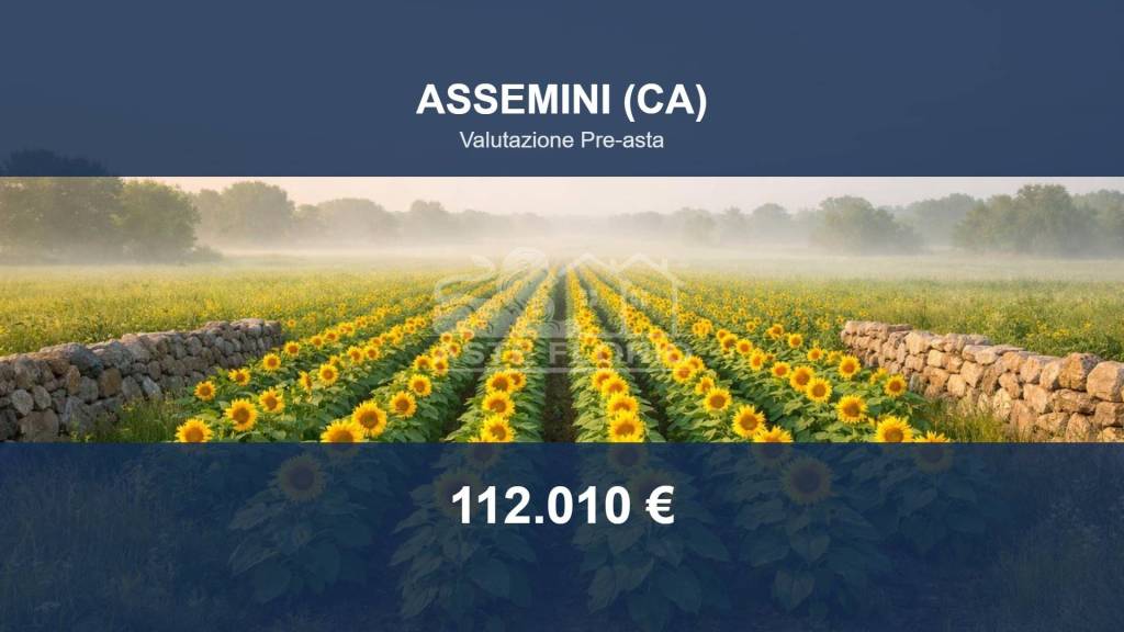 terreno agricolo in vendita ad Assemini