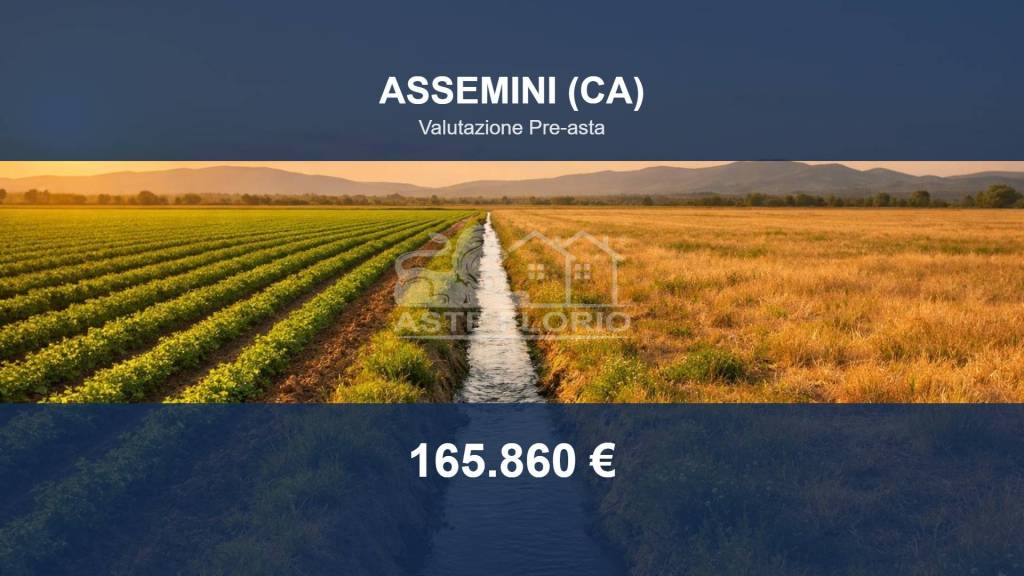 terreno agricolo in vendita ad Assemini