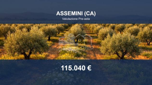 terreno agricolo in vendita ad Assemini