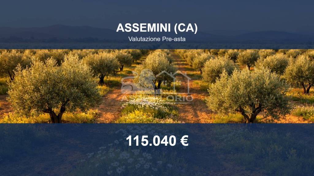terreno agricolo in vendita ad Assemini