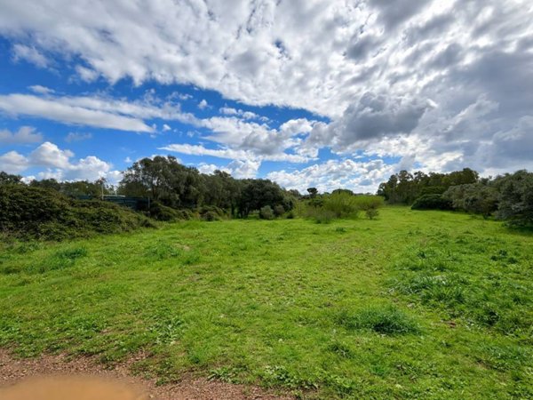 terreno agricolo in vendita ad Assemini