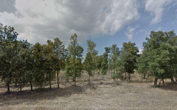 appartamento in vendita ad Assemini in zona Sant'Andrea